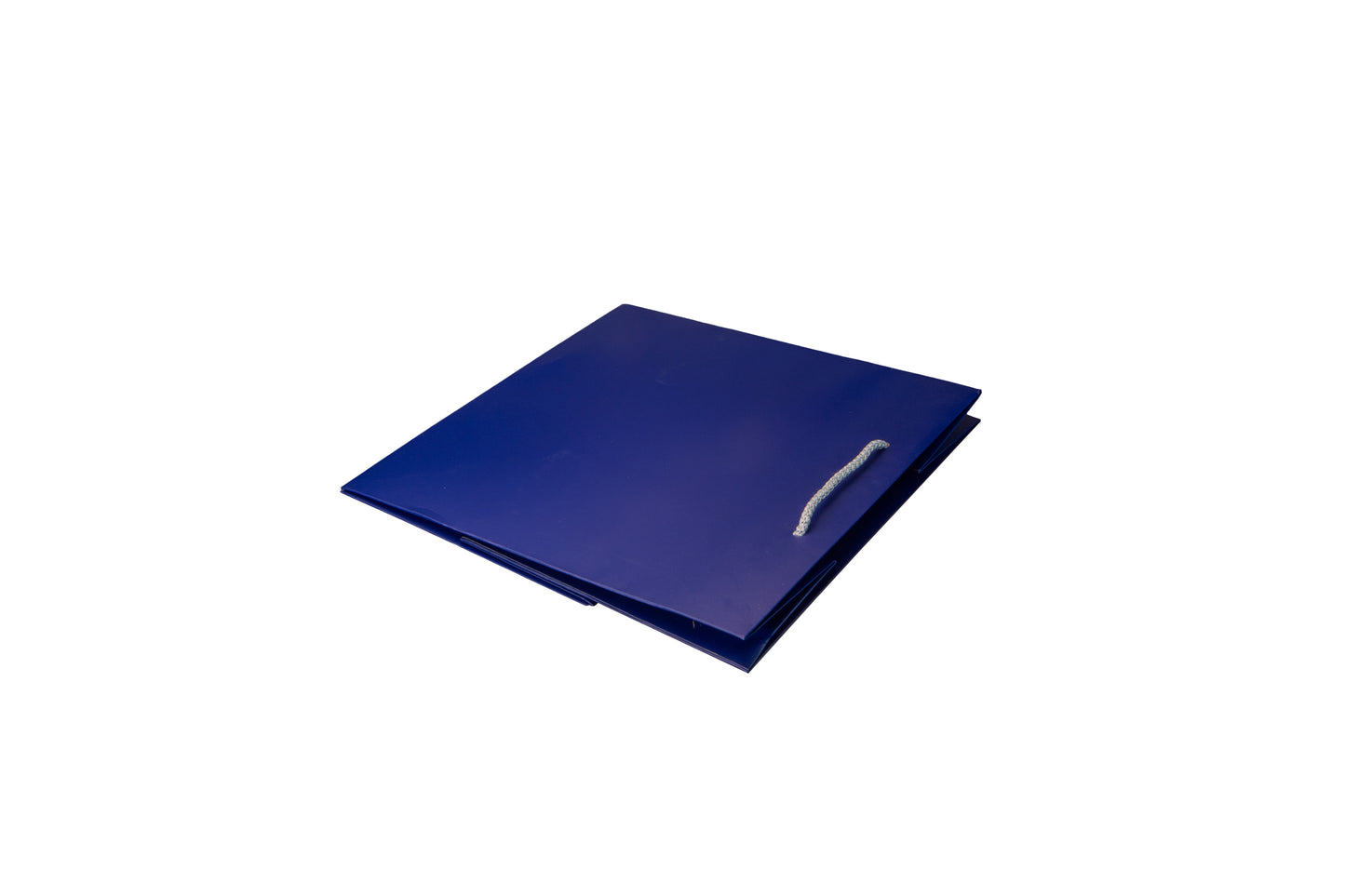 Large Presentation Bag