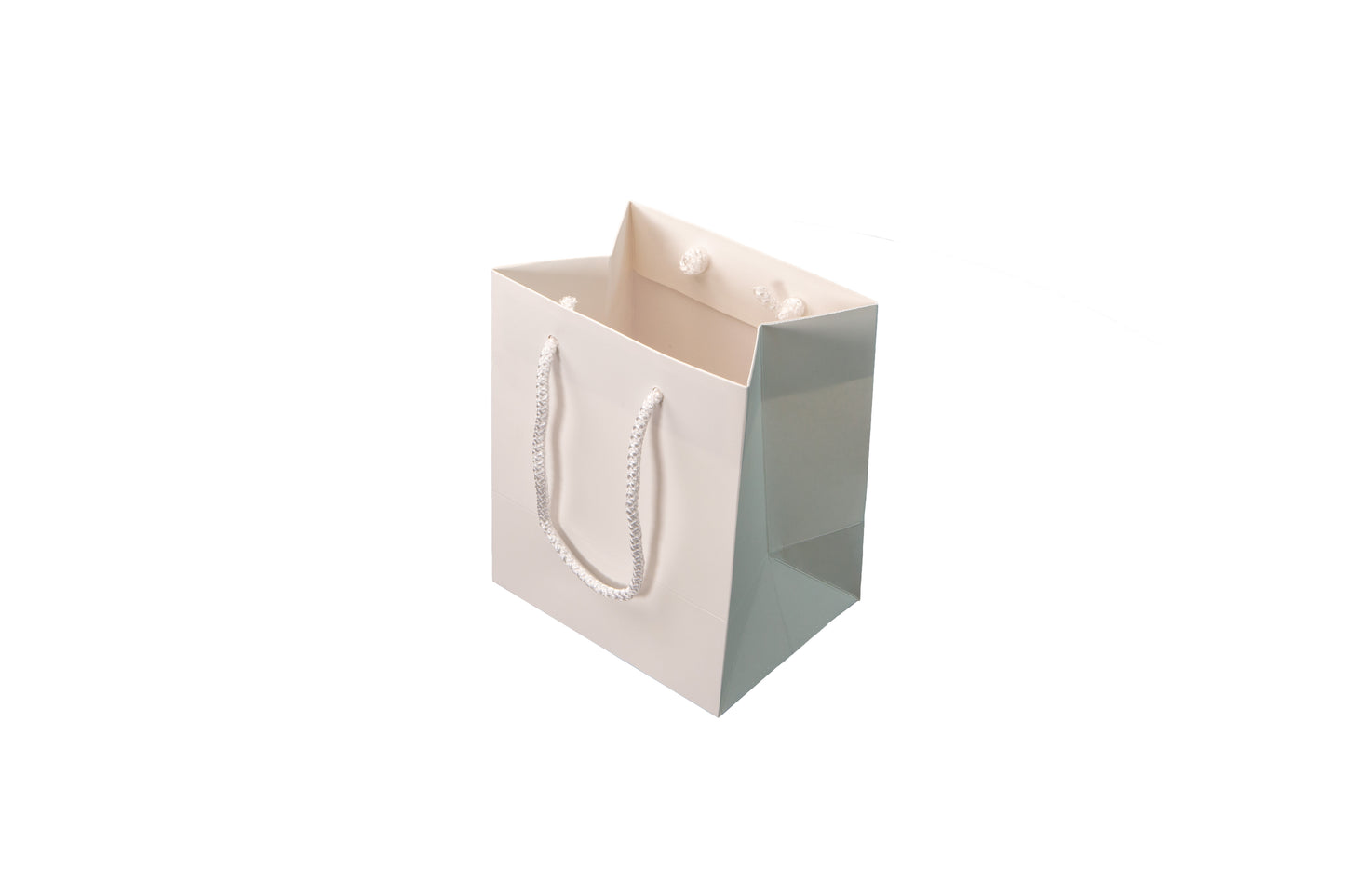 Small Presentation Bag