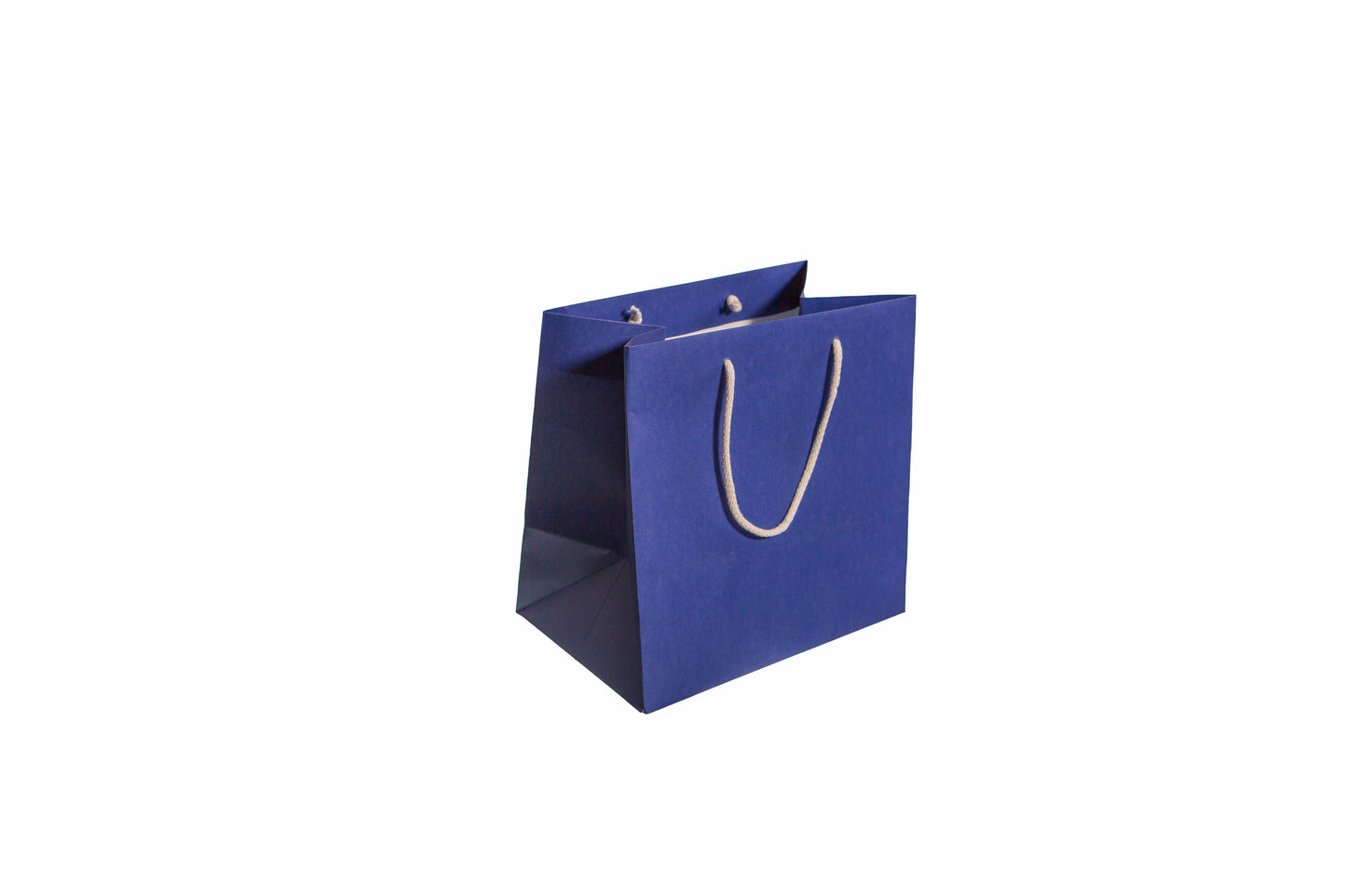 Large Presentation Bag