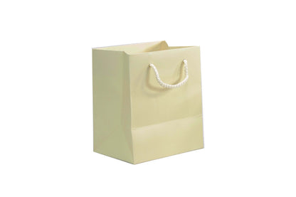 Small Presentation Bag