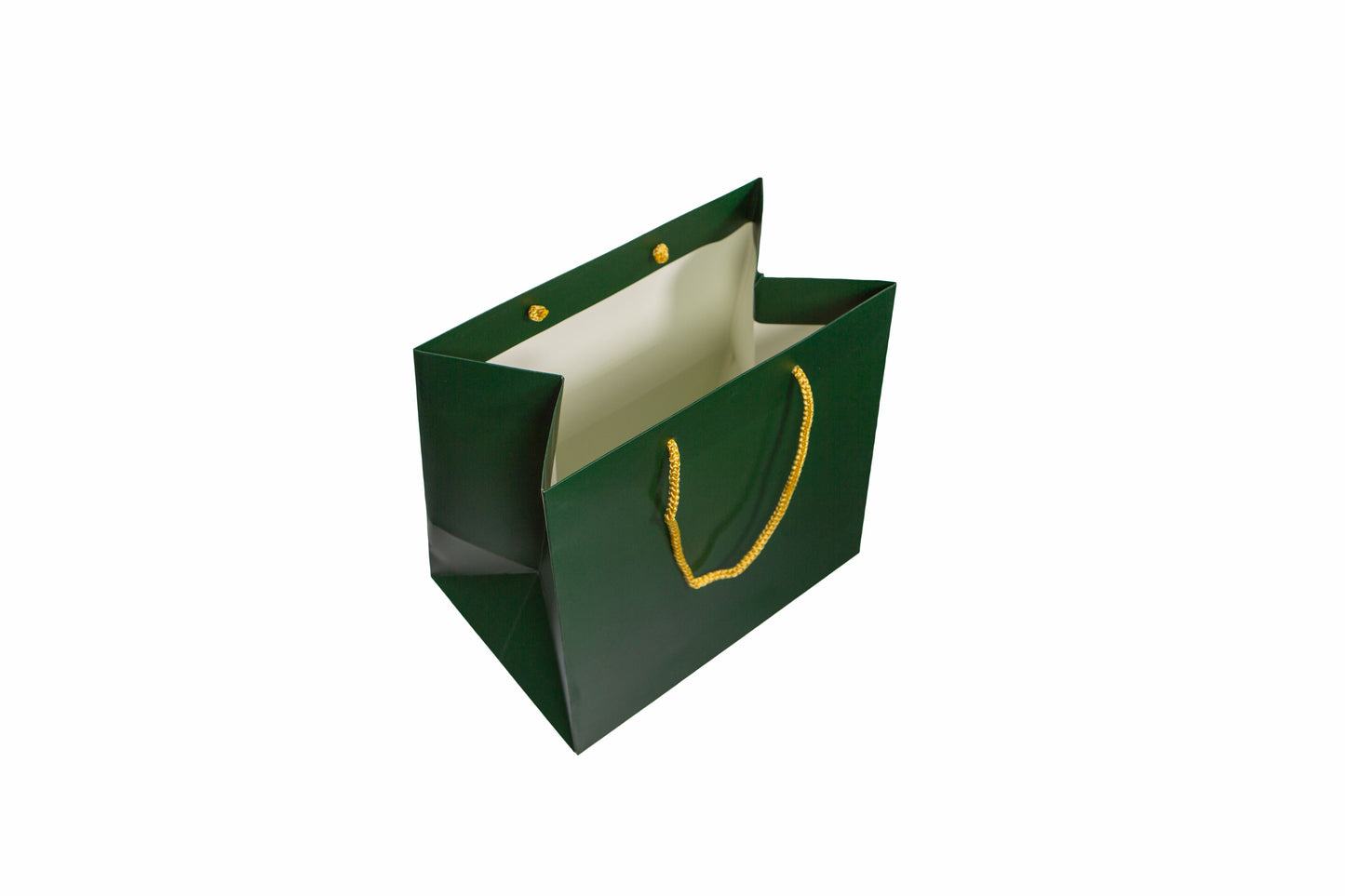 Large Presentation Bag