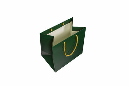 Large Presentation Bag
