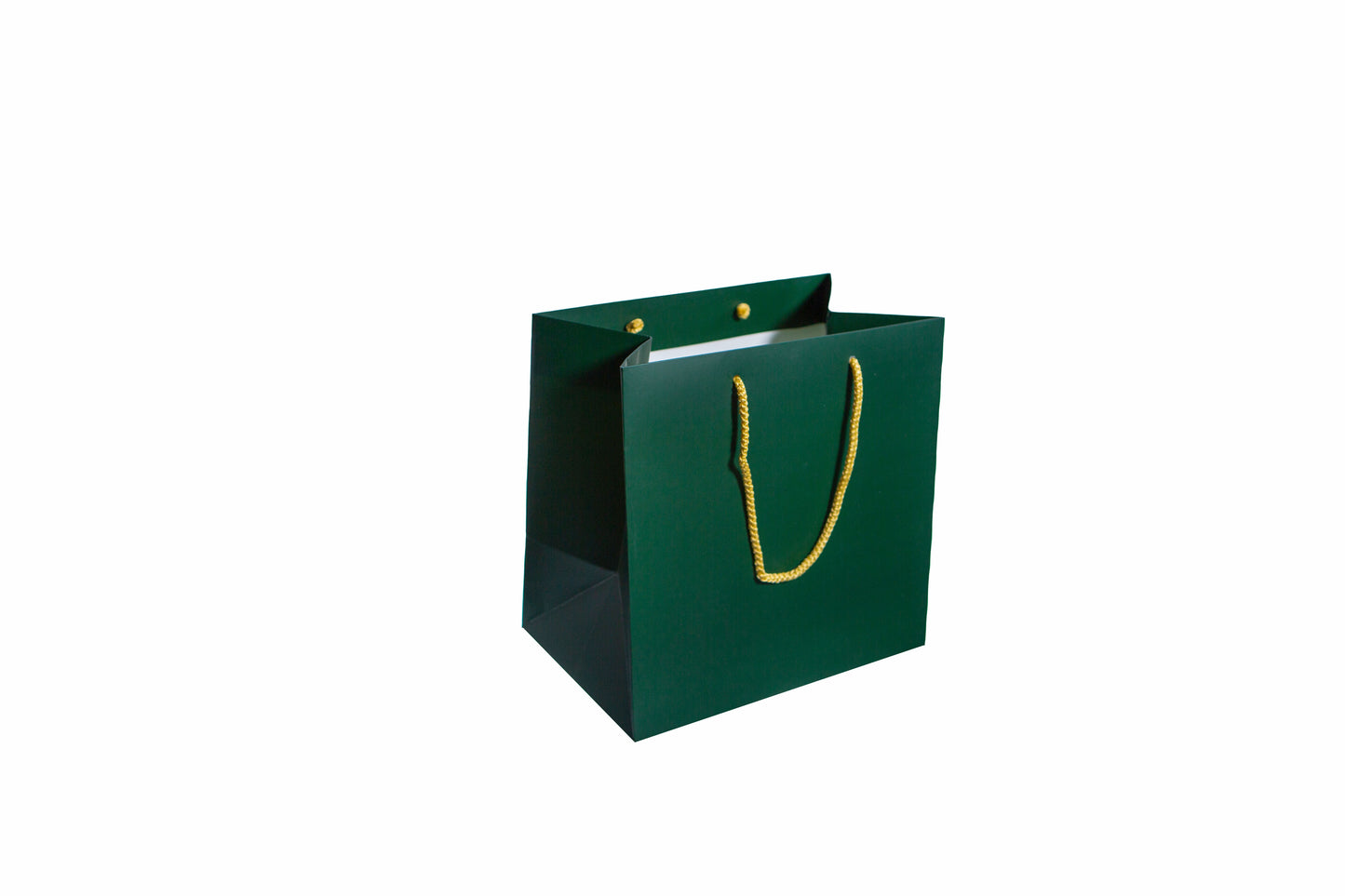Large Presentation Bag