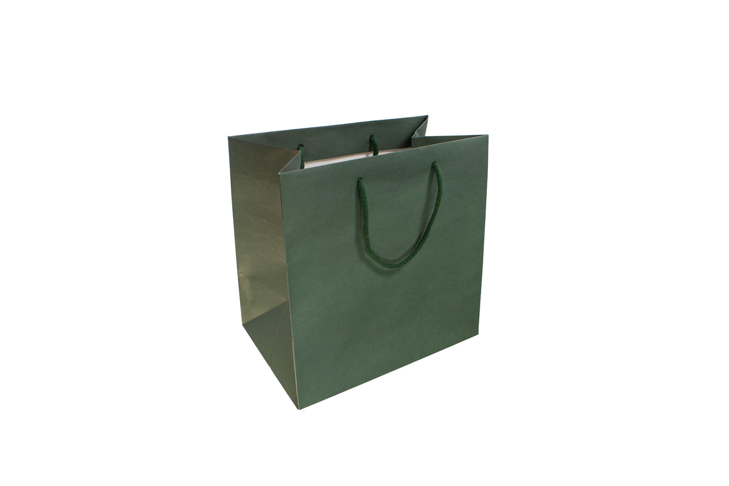 Large Presentation Bag