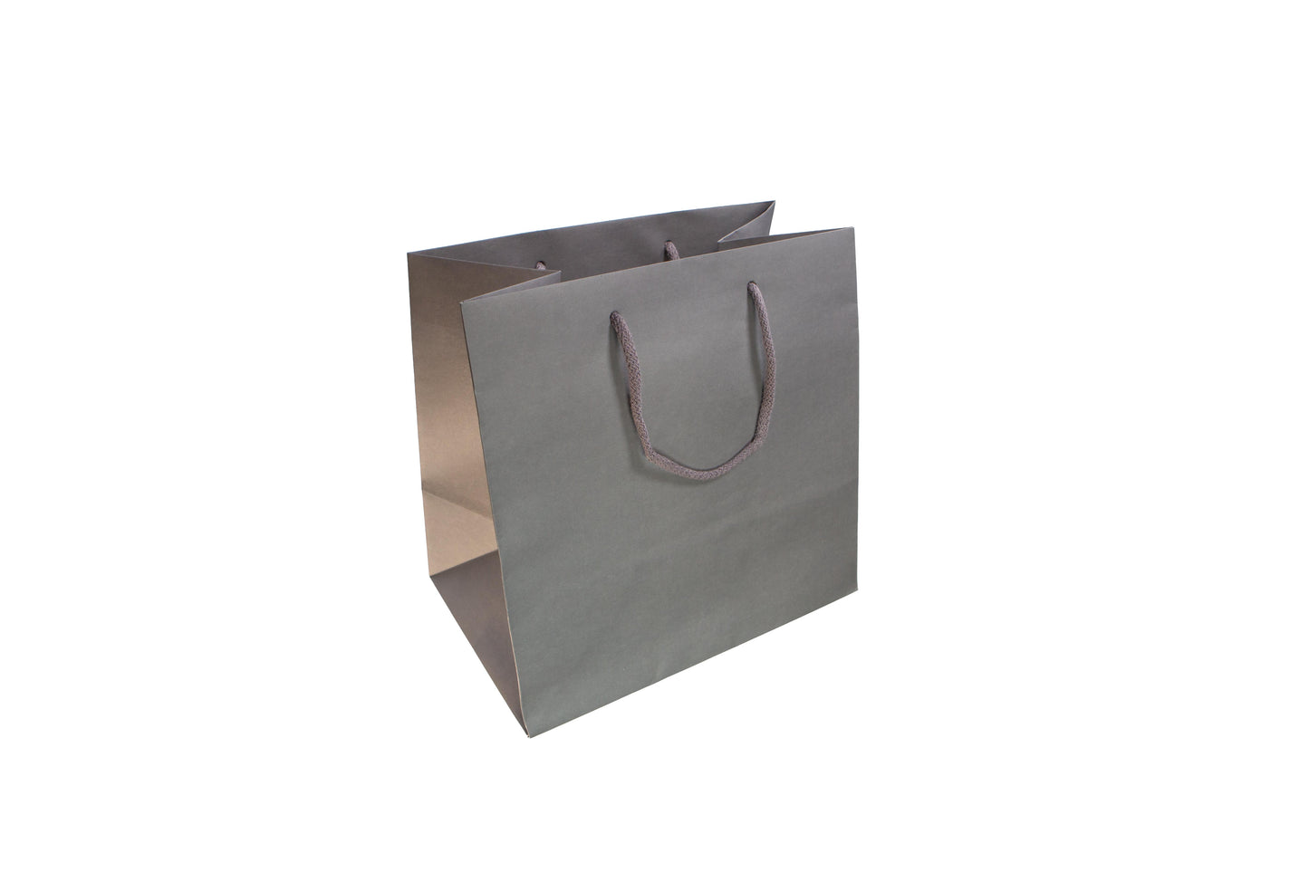 Large Presentation Bag