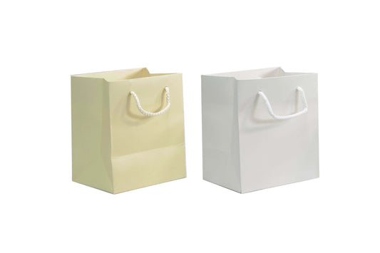 Small Presentation Bag