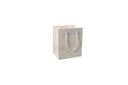 Small Presentation Bag