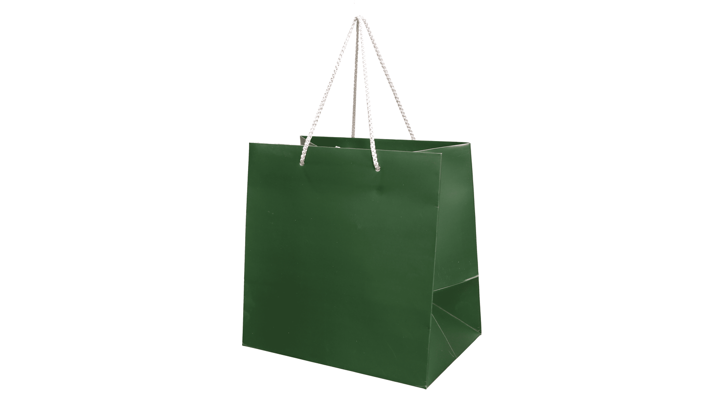 Large Presentation Bag