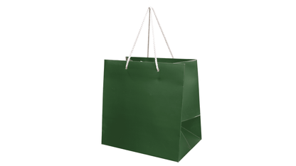 Large Presentation Bag