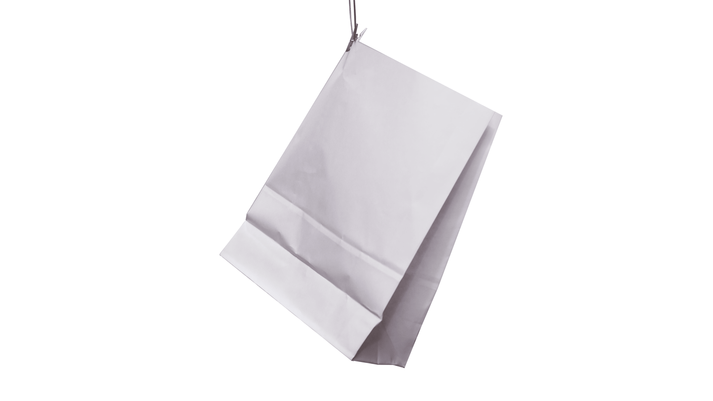 Paper Bags
