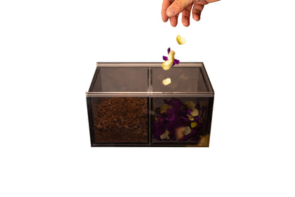 Dual Committal Box