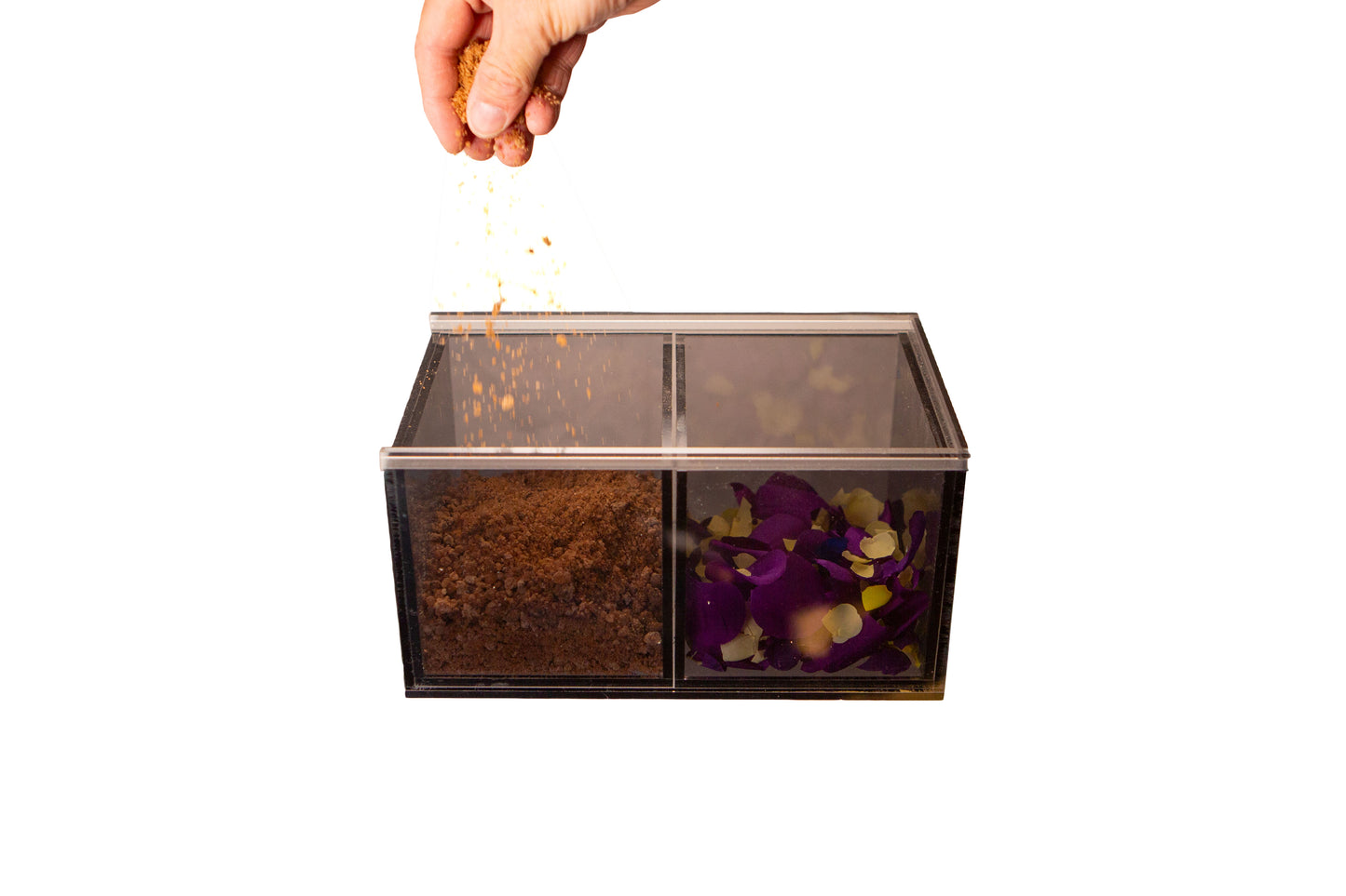 Dual Committal Box