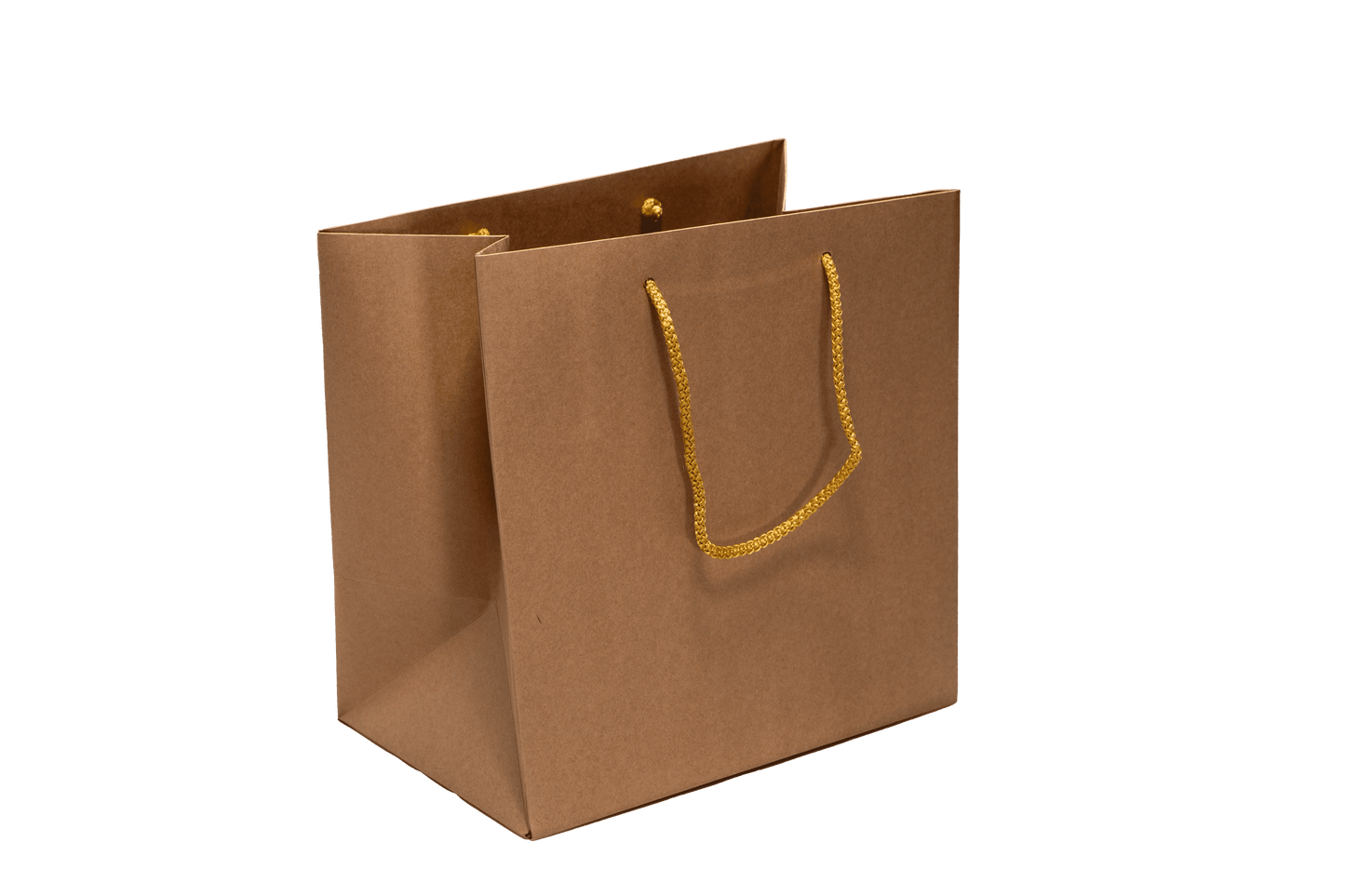 Large Presentation Bag