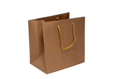 Large Presentation Bag