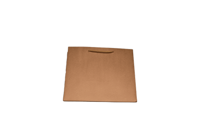 Large Presentation Bag