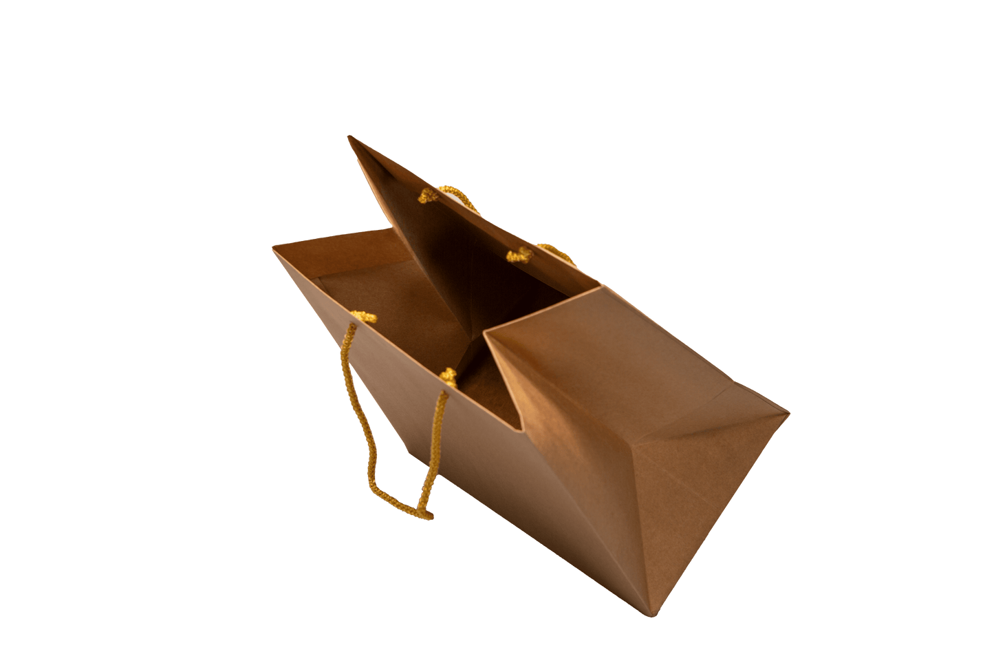 Large Presentation Bag