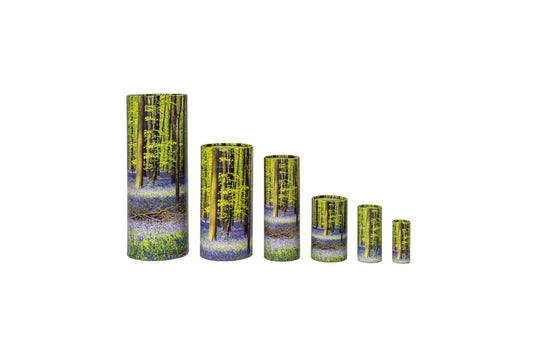 Bluebells Cardboard Scatter Tube