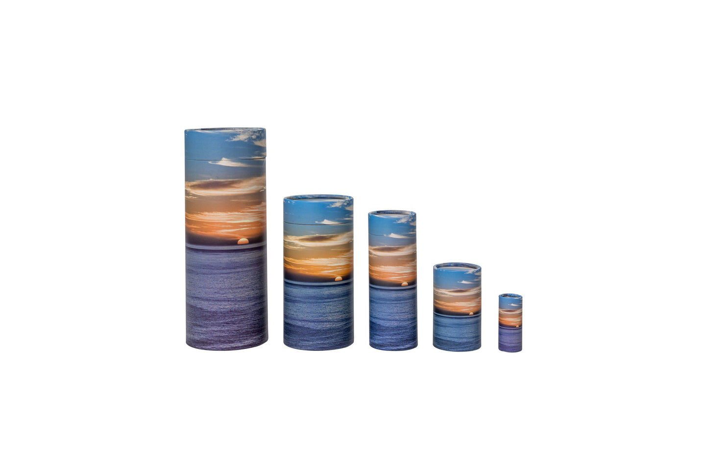 Ocean Cardboard Scatter Tube