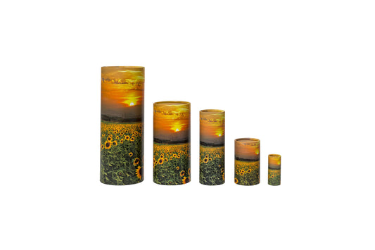 Sunflower Cardboard Scatter Tube