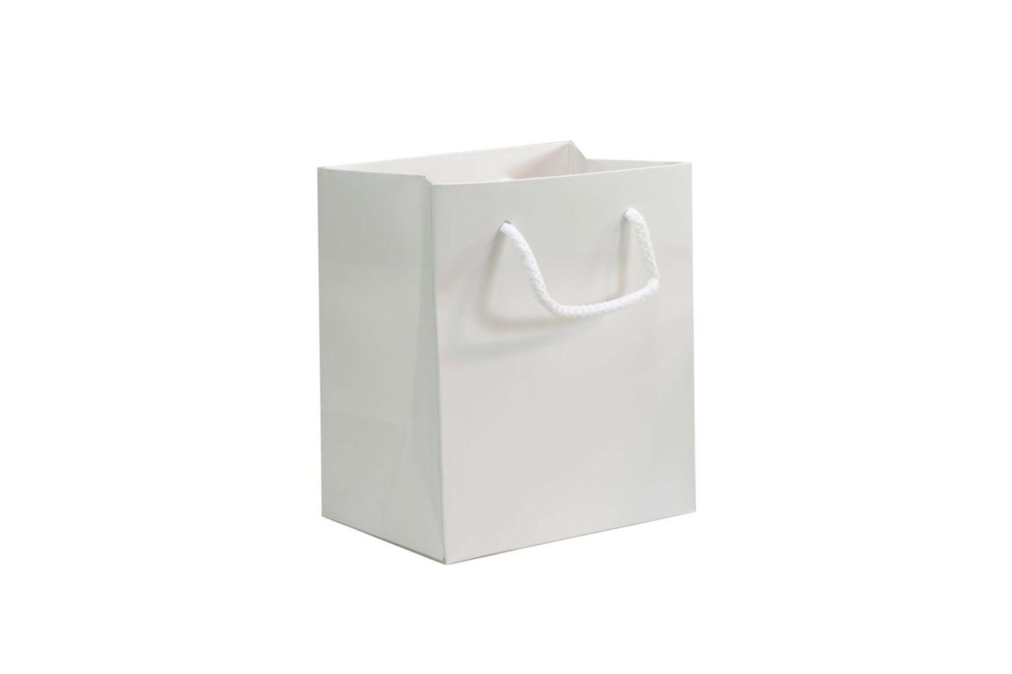 Small Presentation Bag